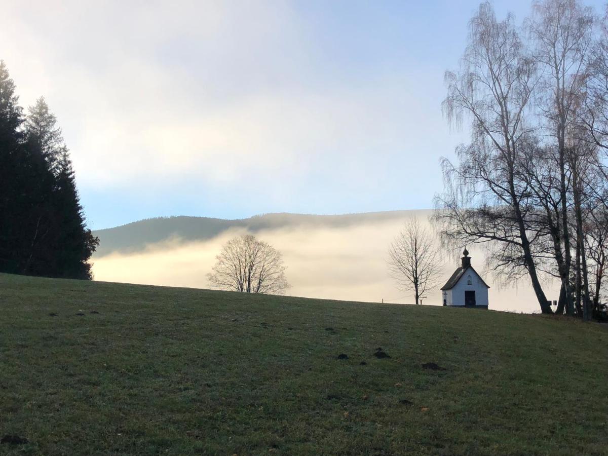 Chata Jezevec Hojsova Stráž Exterior foto